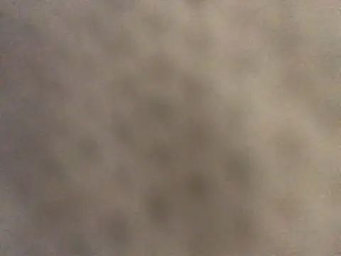 pleasedontpressaredburton online show from 01/16/26, 02:54