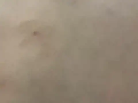 pleasedontpressaredburton online show from 02/28/26, 03:29