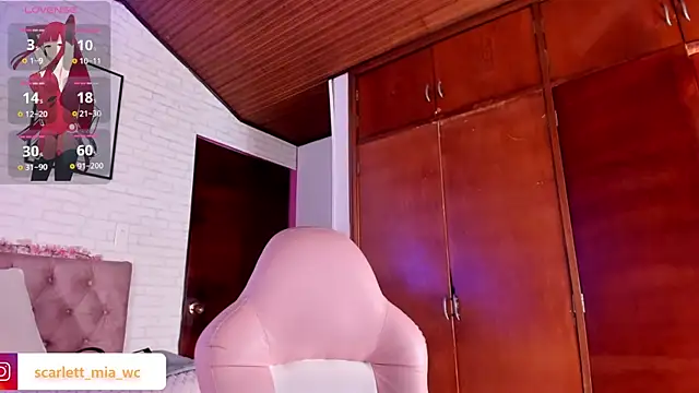 Snapshot of Scarlett_fox__ chatting on 11/08/25, 04:45 Scarlett fox online show from 11/08/25, 04:45