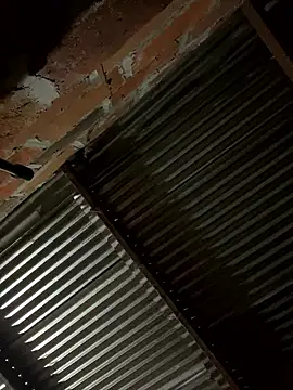 lady and charly online show from 01/19/26, 12:09