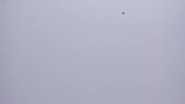 Malory  Jones online show from 01/16/26, 06:34