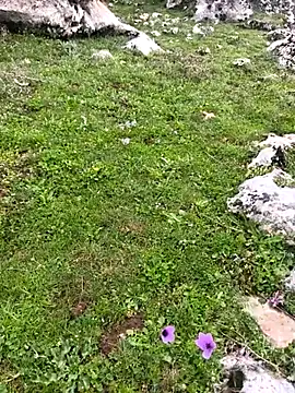 Sert erkek21 ysm online show from 03/23/26, 10:19