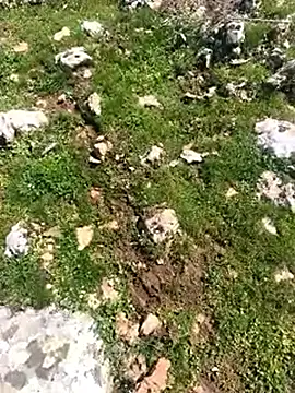 Sert erkek21 ysm online show from 03/24/26, 11:26