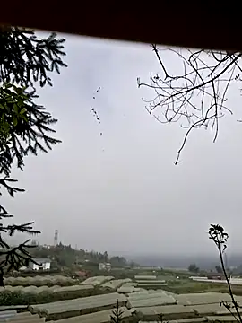 miomio-12 online show from 11/07/25, 01:38