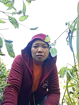 miomio-12 online show from 11/29/25, 03:09