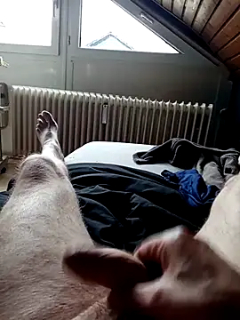 Snapshot of ImperlPerverso59 chatting on 10/07/25, 12:24 ImperlPerverso59 online show from 10/07/25, 12:24