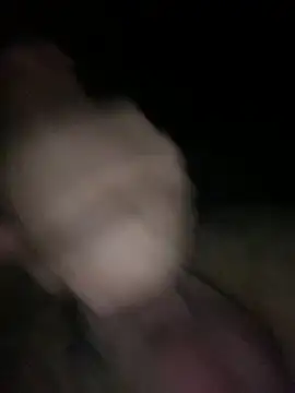 sertsikici20cm   online show from 10/12/25, 10:20