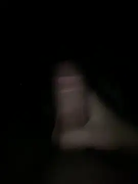 sertsikici20cm   online show from 10/29/25, 09:38