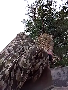 Hot eras36 online show from 10/22/25, 11:54