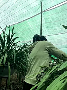 miemie-xx online show from 01/08/26, 07:43