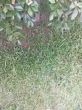 Merlin2310 online show from 02/09/26, 07:40