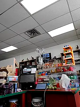 Cassaroll333 online show from 11/30/25, 05:28