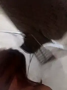 Rabbit-small online show from 12/19/25, 09:33