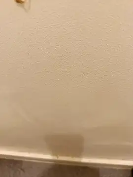 Snapshot of _Gabriela_5Live chatting on 11/10/25, 05:12 Gabriela 5Live online show from 11/10/25, 05:12