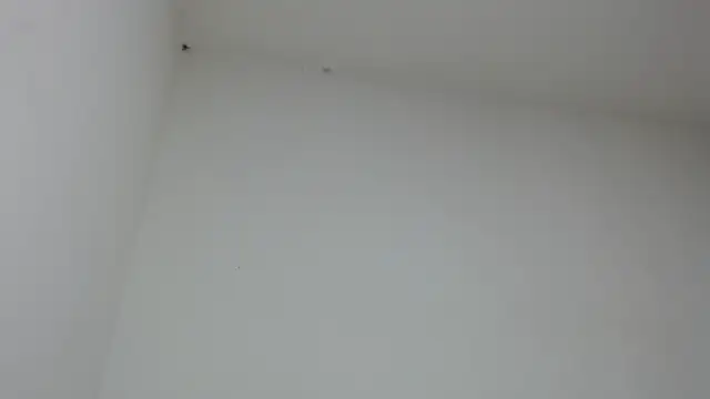 drako monster online show from 01/31/26, 09:46