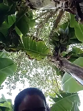 Co punam online show from 04/01/26, 08:26