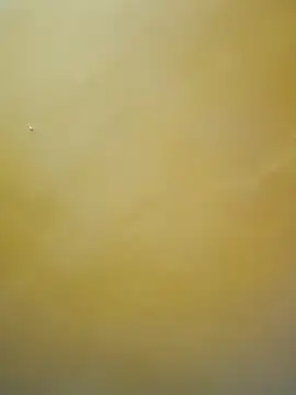 Snapshot of tamil-mala23 chatting on 10/18/25, 11:44 tamil-mala23 online show from 10/18/25, 11:44