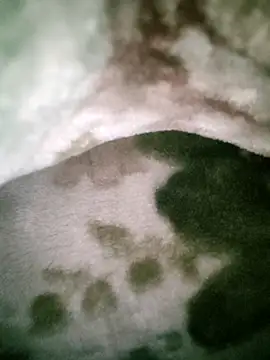 Anchal-8798 online show from 01/12/26, 05:51