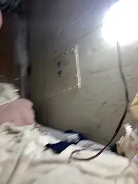 Nectarioteins online show from 02/04/26, 05:24