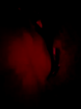 MoonQxX online show from 01/09/26, 05:26