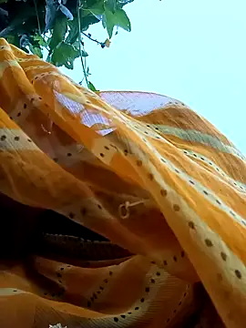 Cutsedi3 online show from 10/18/25, 11:33