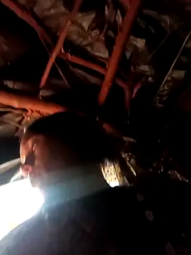 Cutsedi3 online show from 10/29/25, 10:17