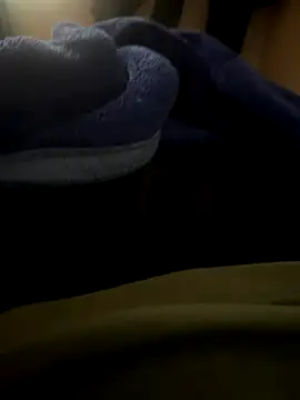 Snapshot of Satish_vs1234 chatting on 11/22/25, 04:44 Satish vs1234 online show from 11/22/25, 04:44