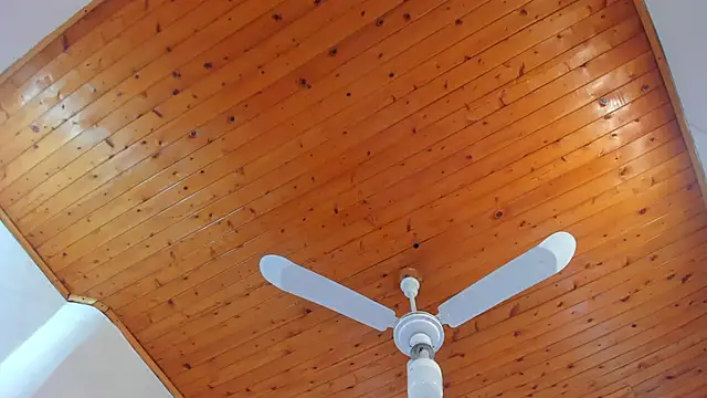 Snapshot of denisse_khan chatting on 10/17/25, 11:46 denisse khan online show from 10/17/25, 11:46