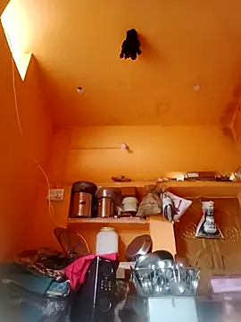 Abhilasha hot34 online show from 12/21/25, 04:30