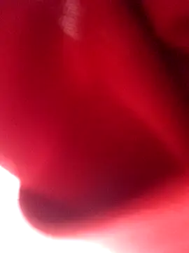 nalgastalla60 online show from 02/06/26, 03:55