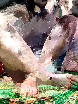 Snapshot of -Kem-01 chatting on 12/05/25, 01:09 -Kem-01 online show from 12/05/25, 01:09