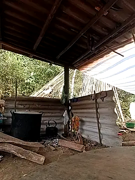 -Kem-01 online show from 02/26/26, 05:17