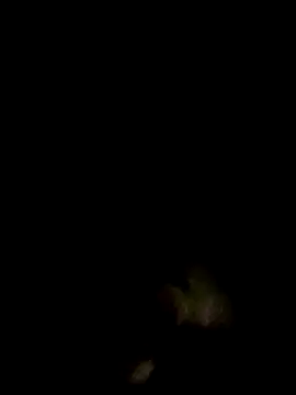 Snapshot of an-show chatting on 12/04/25, 01:04 an-show online show from 12/04/25, 01:04