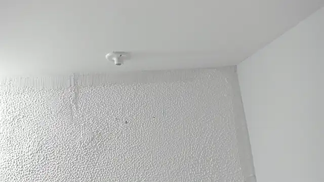 AnnieAndLeandro online show from 01/06/26, 08:12