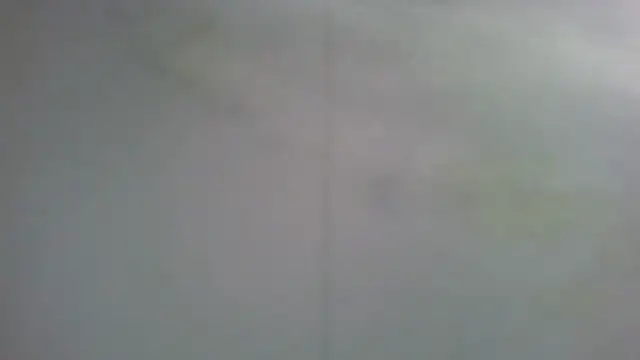 zaubermaeuschen66 online show from 12/02/25, 10:42