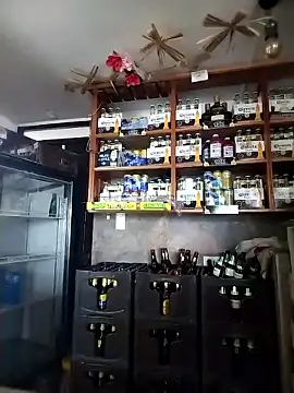 catalella16 online show from 01/11/26, 02:22