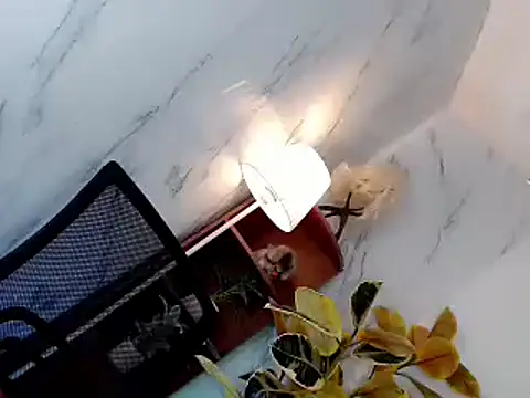 Snapshot of sweet_rose69 chatting on 11/16/25, 12:33 sweet rose69 online show from 11/16/25, 12:33