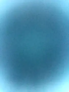 tabby-cat11 online show from 02/19/26, 02:46