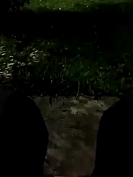 roludao fun online show from 11/11/25, 10:54