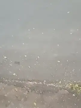 roludao fun online show from 02/23/26, 09:34