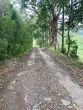 motomotoboy online show from 03/05/26, 06:48