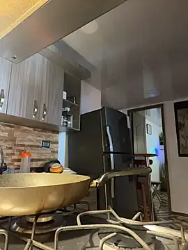 Snapshot of FreszX chatting on 02/20/26, 03:34 FreszX online show from 02/20/26, 03:34