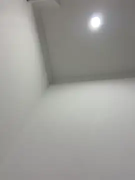 violeta365 online show from 04/11/26, 03:00