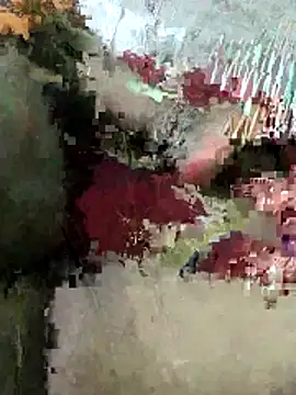 Snapshot of sexy_6hvhhh chatting on 10/26/25, 12:44 sexy 6hvhhh online show from 10/26/25, 12:44