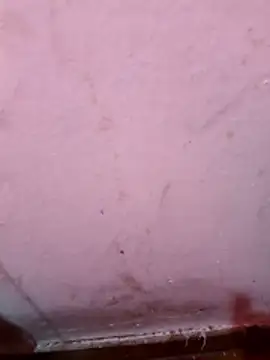 Argentino 96 online show from 01/07/26, 08:00