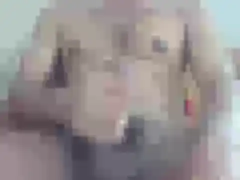 nick2445 online show from 04/18/26, 09:24