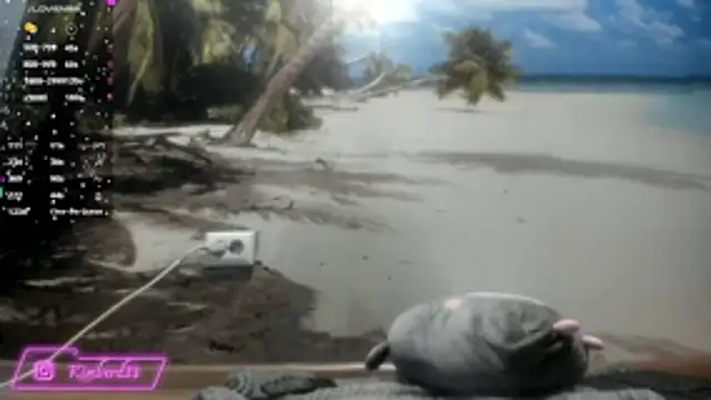 kimberd33 online show from 02/26/26, 03:11