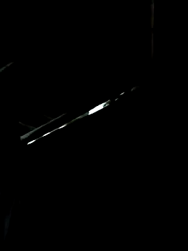 kokoto-59 online show from 02/11/26, 11:43