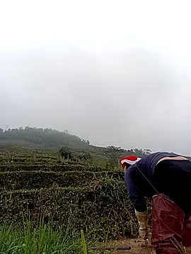 kokoto-59 online show from 03/11/26, 01:33