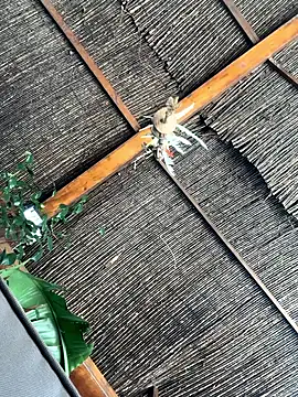 gitanoMad online show from 04/03/26, 01:53